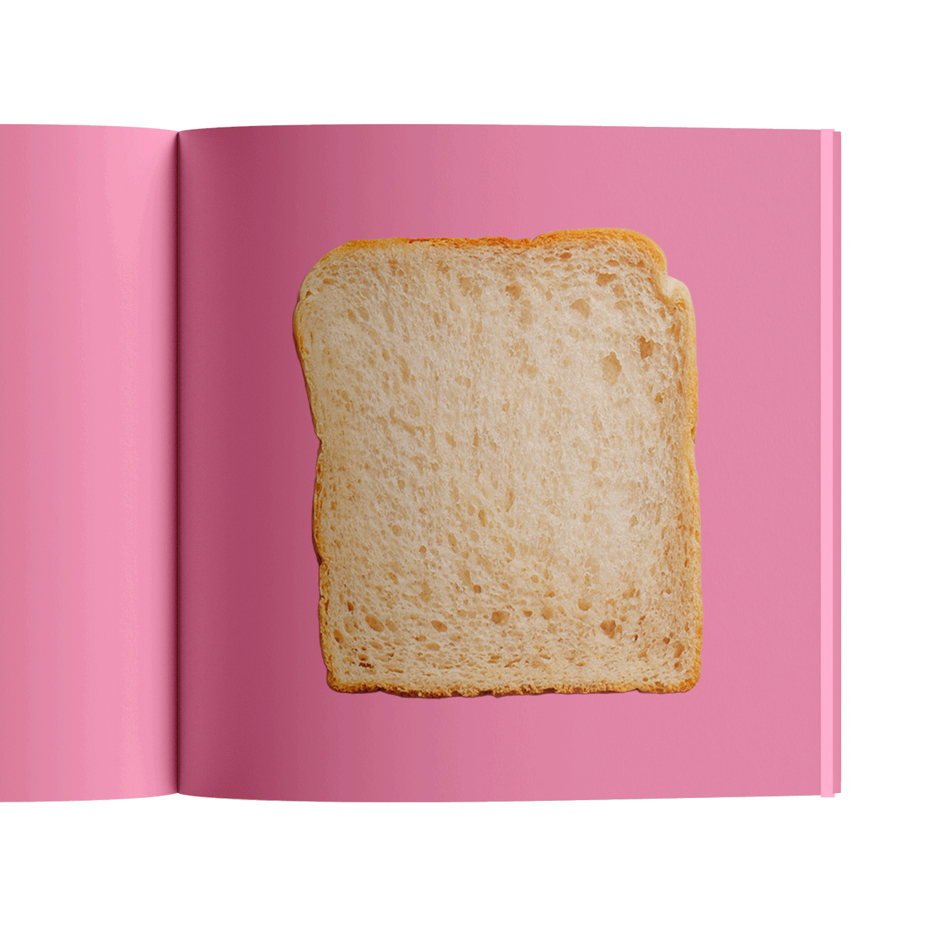 Toast Flipbook Animation